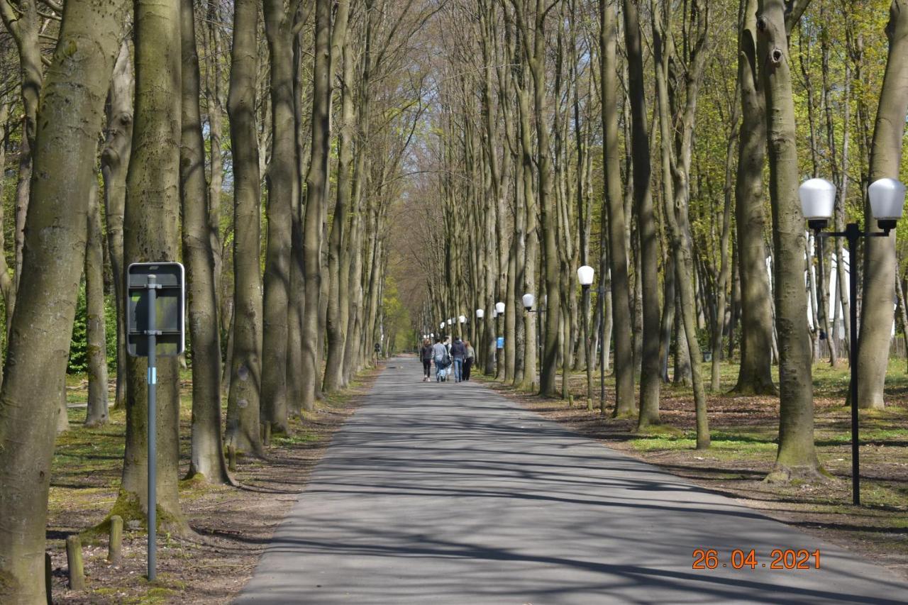 Hengelhoef Den 5 Volledig Gelijkvloers Vakantiehuisje Voor 4 P 2 Terrassen En Verwarmd Openlucht Zwembad Aan de Wolfsberg Exterior photo